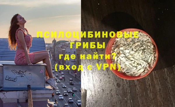 ГАЛЛЮЦИНОГЕННЫЕ ГРИБЫ Балабаново