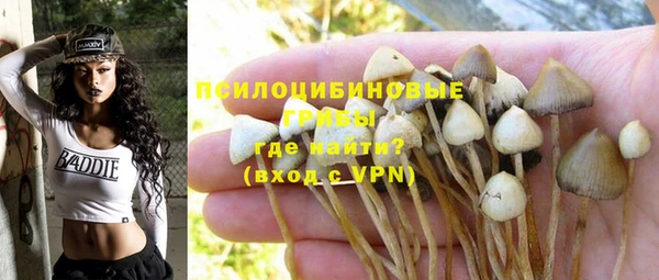 бошки Аркадак