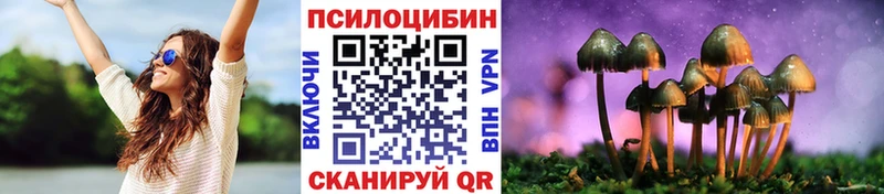закладка  Темрюк  Псилоцибиновые грибы Cubensis 